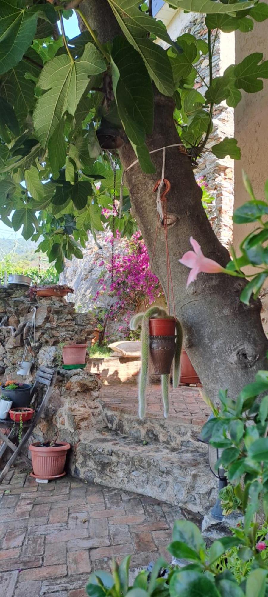 B&B L' Antica Macina Quiliano Eksteriør bilde