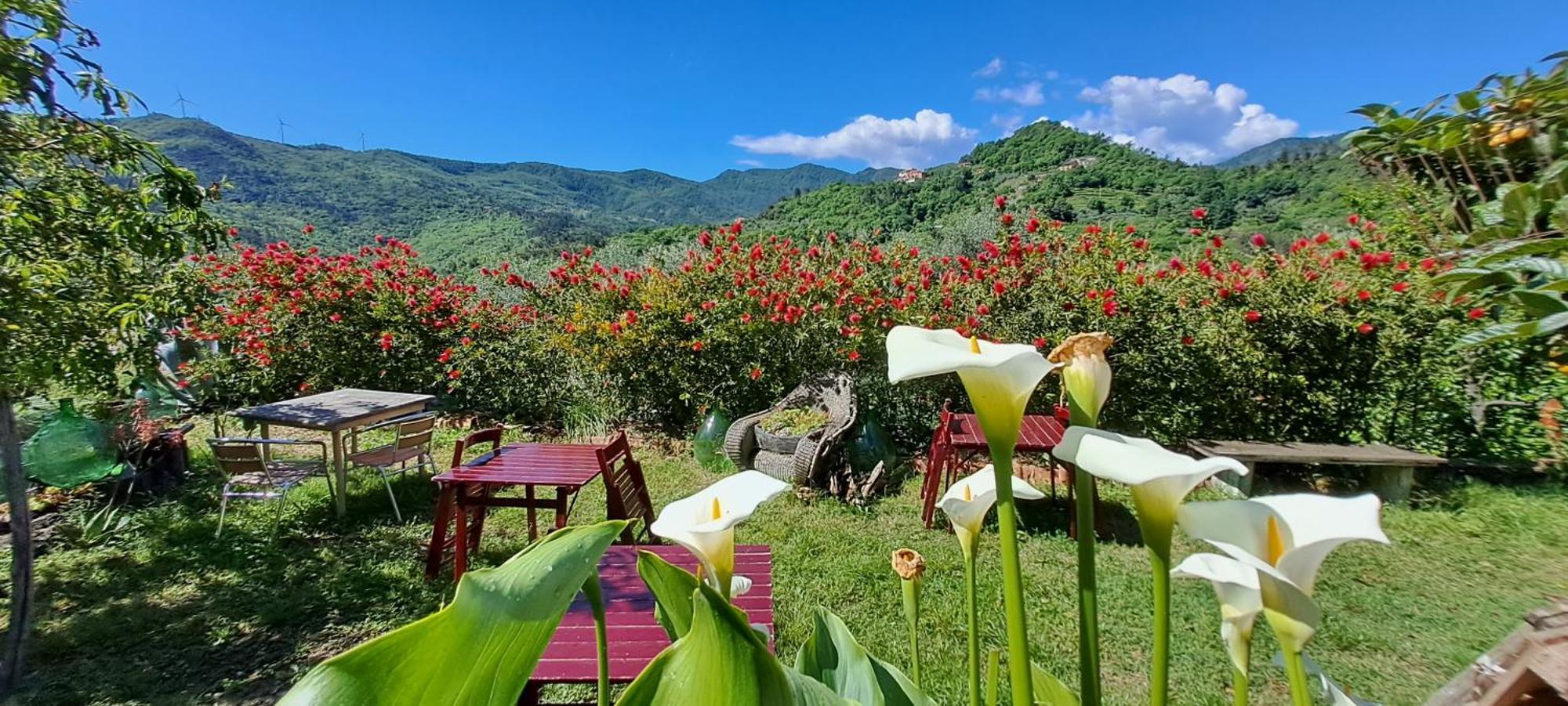 B&B L' Antica Macina Quiliano Eksteriør bilde