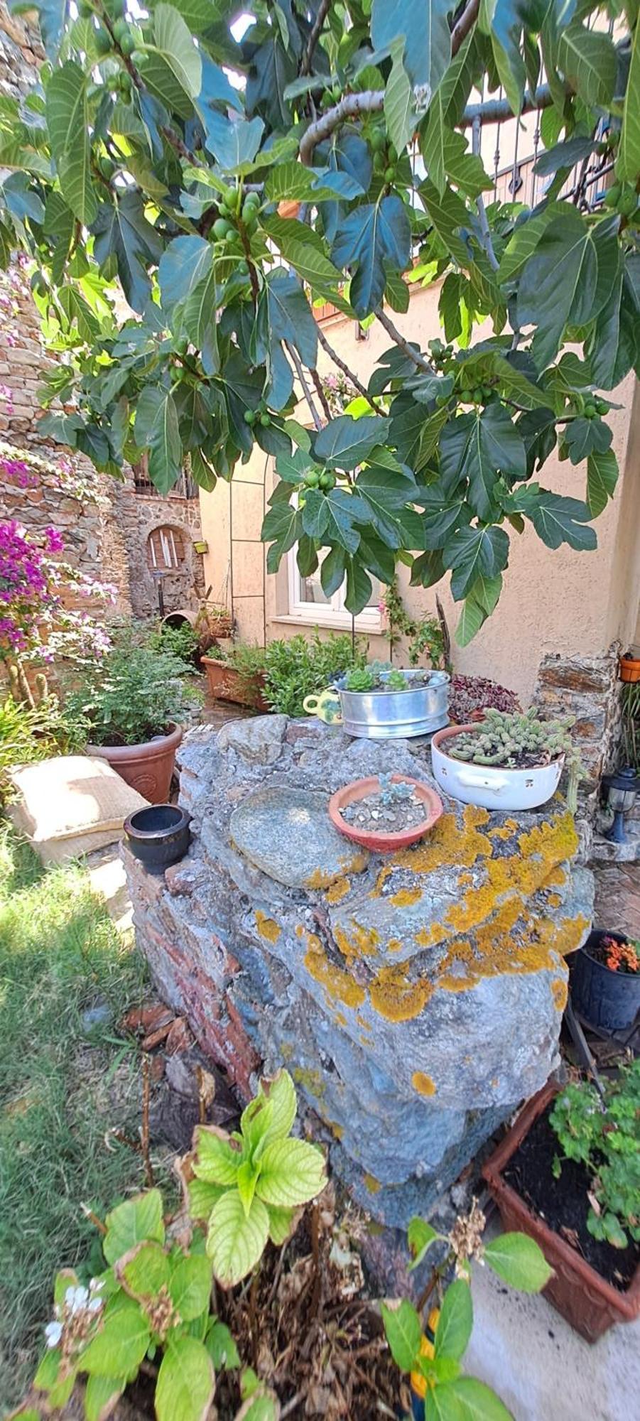 B&B L' Antica Macina Quiliano Eksteriør bilde
