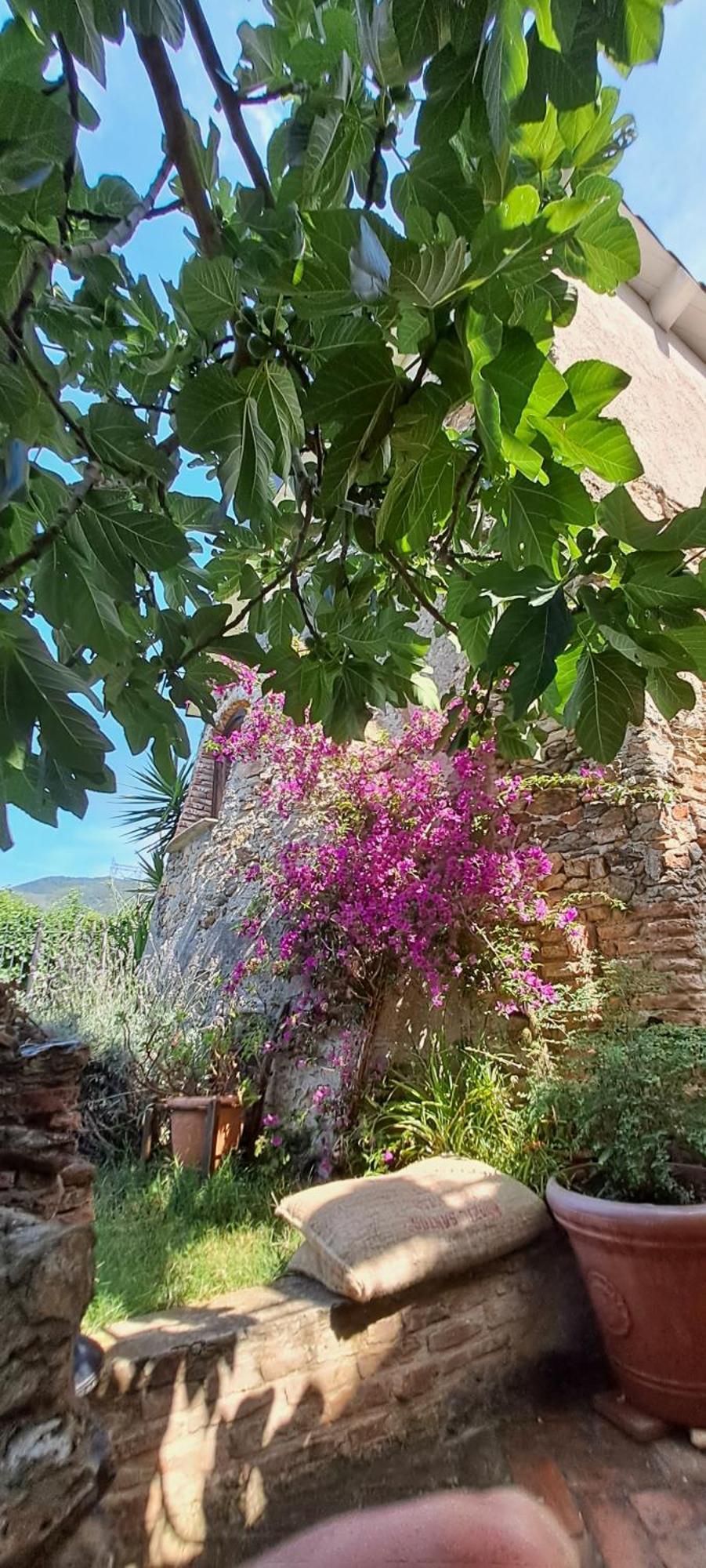 B&B L' Antica Macina Quiliano Eksteriør bilde