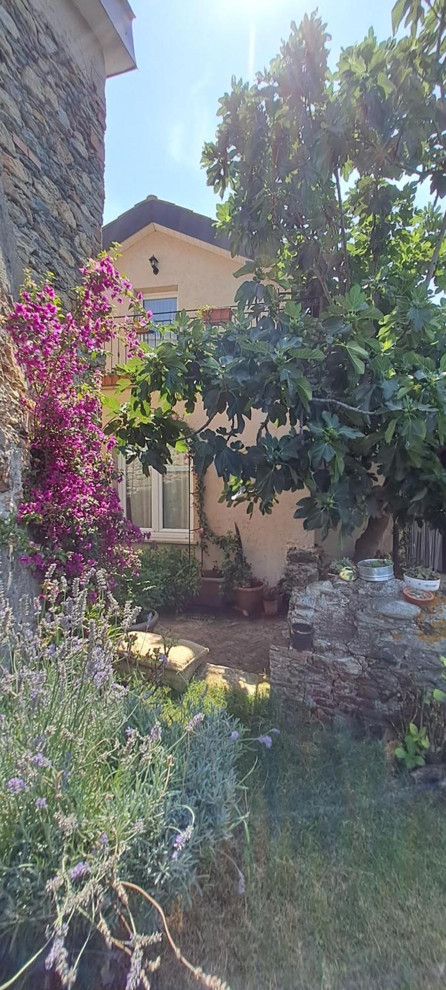 B&B L' Antica Macina Quiliano Eksteriør bilde